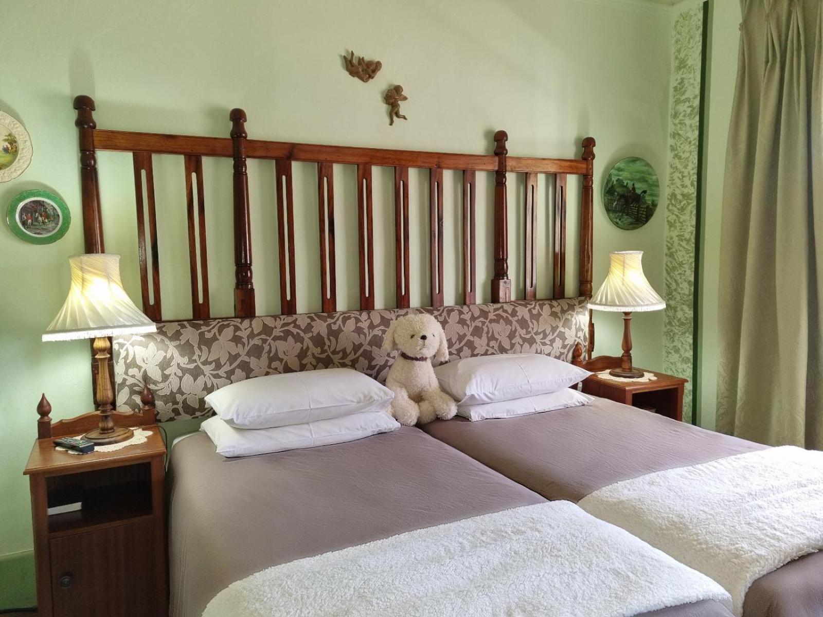Mountain View Country Inn Lady Grey Cameră foto
